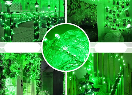 LEDMiniChristmasStringlightGreenWithMiniControllerMovingLight5W100L220V_SR1904KJ_2