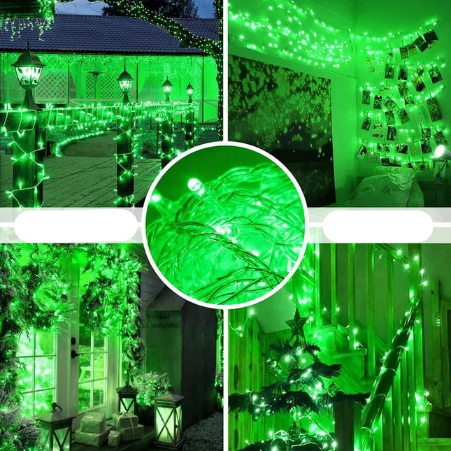 LEDMiniChristmasStringlightGreenWithMiniControllerMovingLight5W100L220V_SR1904KJ_2