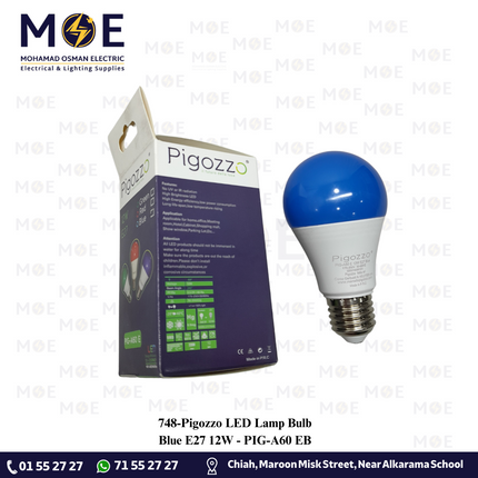 Pigozzo LED Lamp Bulb Blue E27 12W | PIG-A60 E