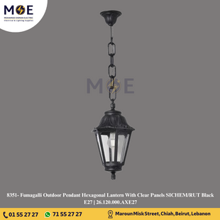 Fumagalli Outdoor Pendant Hexagonal Lantern With Clear Panels SICHEM/RUT Black E27 | 26.120.000.AXE27 | فانوس تنزيلة مسدس شفاف اسود