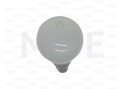 Doura Incandescent Lamp Warm White B22 200W | لمبة عادي كبس