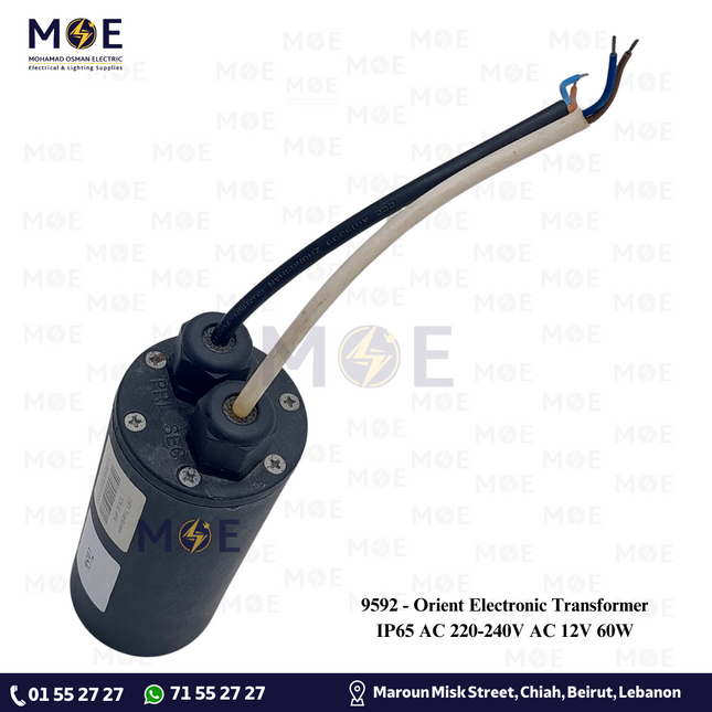 Orient Electronic Transformer IP65 AC 220-240V AC 12V 60W