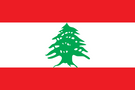 Christmas Lights Lebanon – Festive String Lights & Rope Lights ...